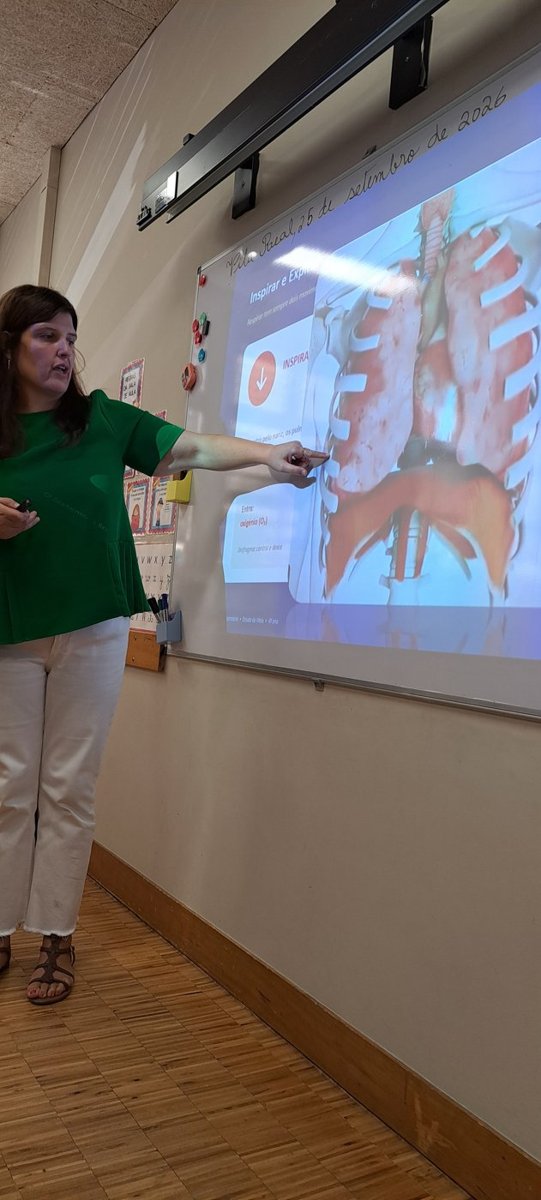 A Dr.ª Teresa Gomes a apontar para uma imagem dos pulmões e do diafragma